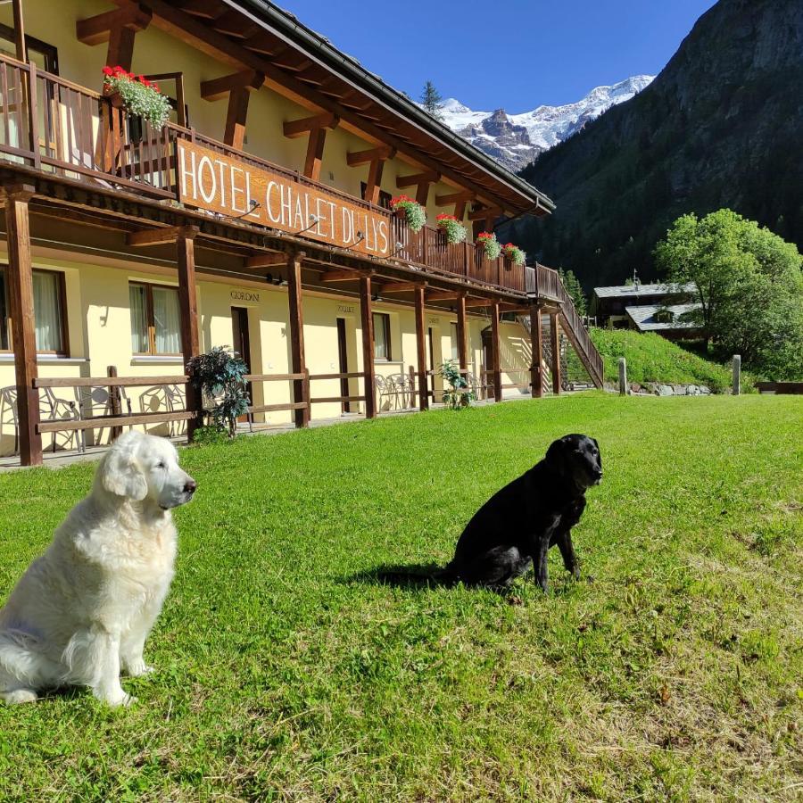 Chalet Du Lys Hotel & Spa Gressoney-la-Trinité Екстериор снимка