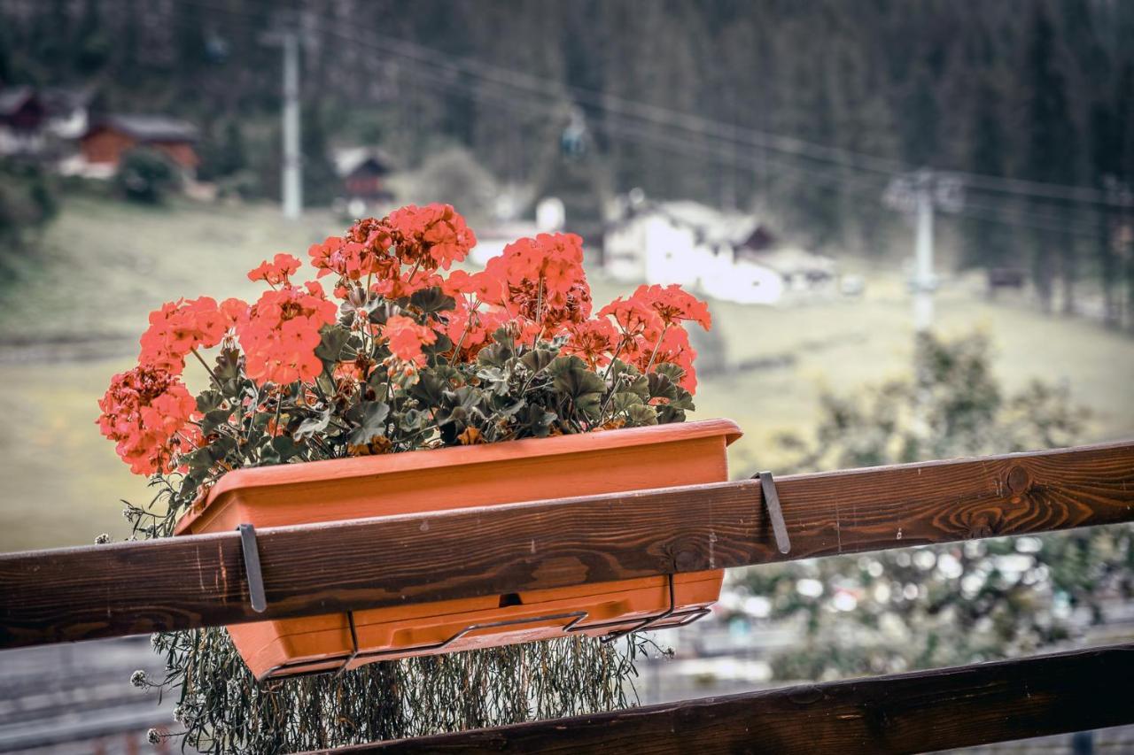 Chalet Du Lys Hotel & Spa Gressoney-la-Trinité Екстериор снимка